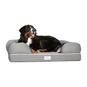 PetFusion Ultimate Dog Bed, Orthopedic Memory Foam, Multiple Sizes and Colors, Medium Firmness Pillow, Waterproof Liner, YKK Zippers, Breathable 35% Cotton Cover