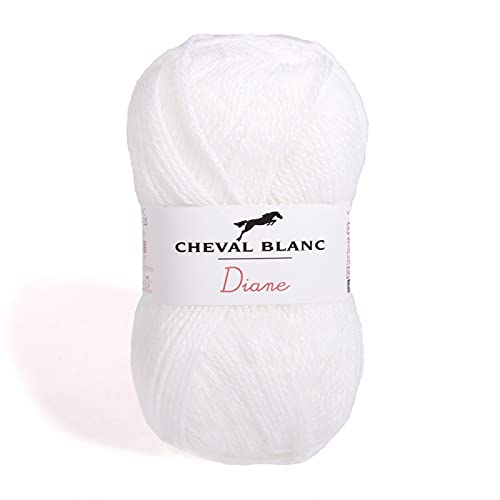 Laines Cheval Blanc - DIANE fil à tricoter 50g - 100% acrylique - Fil pour tricot et crochet - Pelote douce et chaude, idéale tricot adulte et layette