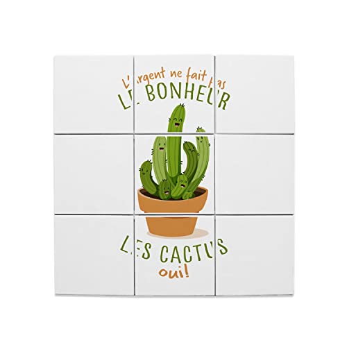 Carreaux céramique cactus 20x20 cm pour masquer un mur abîmé avec style