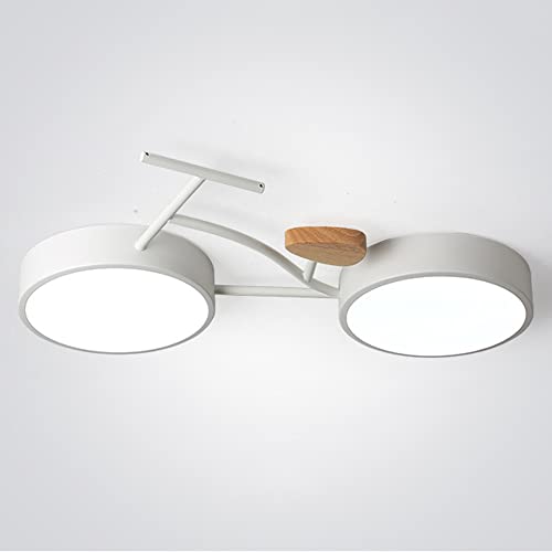 Plafonnier LED acrylique moderne luminaire de plafond roble