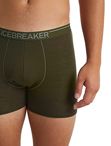 icebreaker Men's 150 Anatomica Boxers3