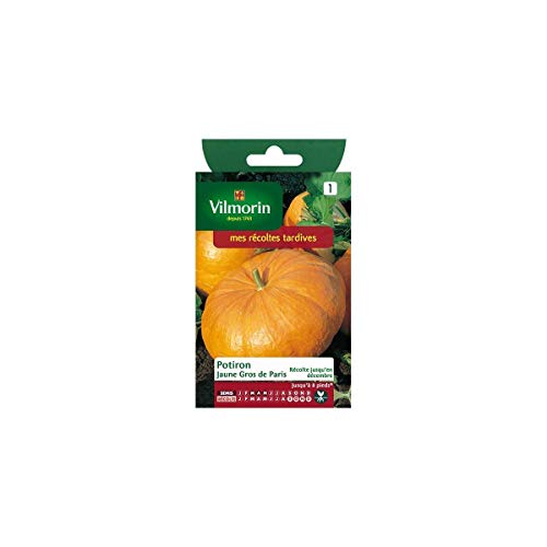 Vilmorin - Sachet graines Potiron jaune gros de paris Cover