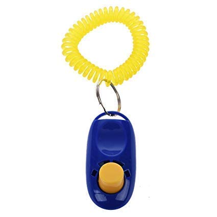 RvPaws Dog Combo Training Kit - Clicker with Wrist Strap (Multicolor) + Training Whistle Silver Color Plastic Training Aid for Dog 1