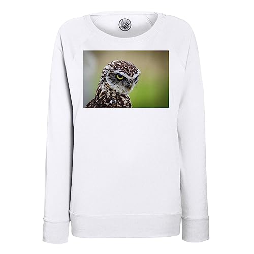 Sweatshirt femme chouette pull imprimé animal sauvage photo nature