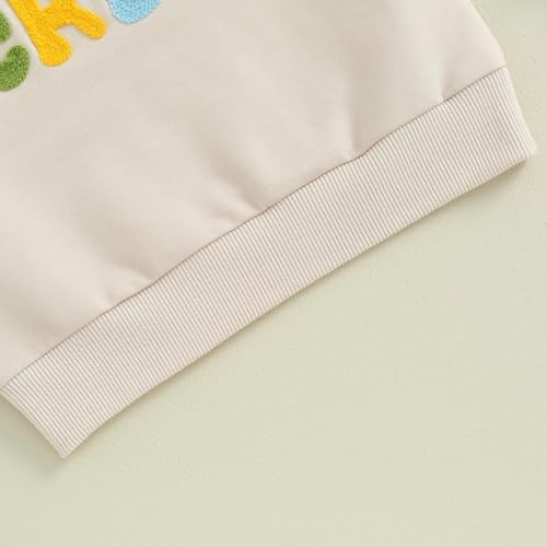 Little Girls Boys Sweatshirt Cute Letter Graphic Embroidered Long Sleeve Crewneck Fleece Pullover Birthday Trendy Outfits2