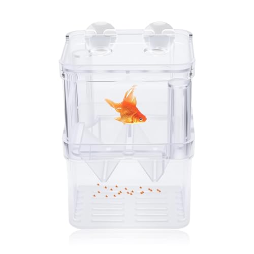Aquarium Zuchtbox, Aquarium Brutkasten Transparent Multifunktional Aufzuchtbecken Große Aquarien Aufzuchtbehälter Fischzuchtbox für Kleine Fische Garnelen Clownfische Guppys