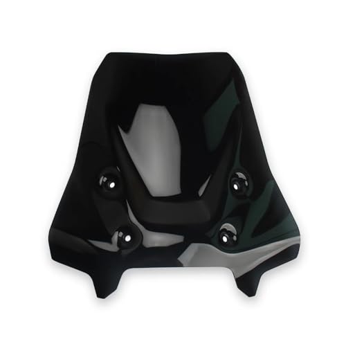 Accessoires moto R1300GS ADV pare-brise latéral déflecteur 2025