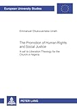 The Promotion of Human Rights and Social Justice: A Call to Liberation Theology for the Church in Nigeria (Europäische Hochschulschriften / European ... 23: Theology / Série 23: Théologie, Band 780)