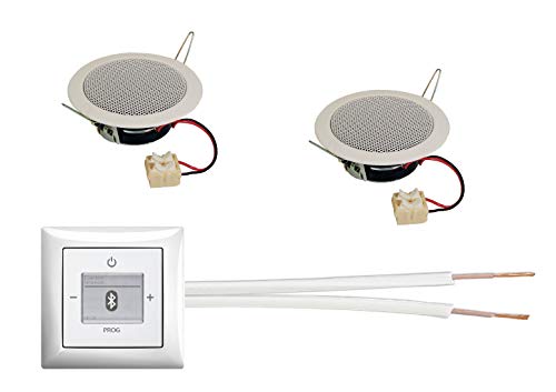 Busch Jäger Unterputz Bluetooth Radio 8217 U (8217U) alpinweiß Komplett-Set Balance SI + 2 x Deckenlautsprecher/Einbaulautsprecher + Radio komplett +