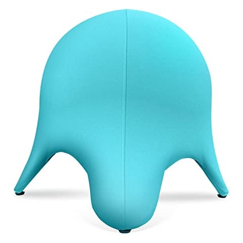 ENOVI Estrella de mar para oficina ergonómica Cover