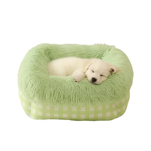 [Snughom]y~phybgnEXz[^fUC lGΉ Lxbh pxbhp ENbV Ȑ݌v yP[W CgO[ L 50cm×50cm×20cm