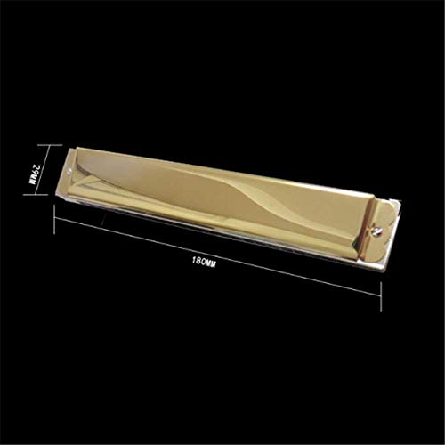 Harmonica polyphonique 24 trous en Do pour enfants et adultes avec étui de rangement et chiffon de nettoyage pour… - Les Beatles, Paul McCartney, John Lennon, RIngo Starr, George Harrison Harmonica polyphonique 24 trous en Do pour enfants et adultes avec étui de rangement et chiffon de nettoyage pour… – Image 4