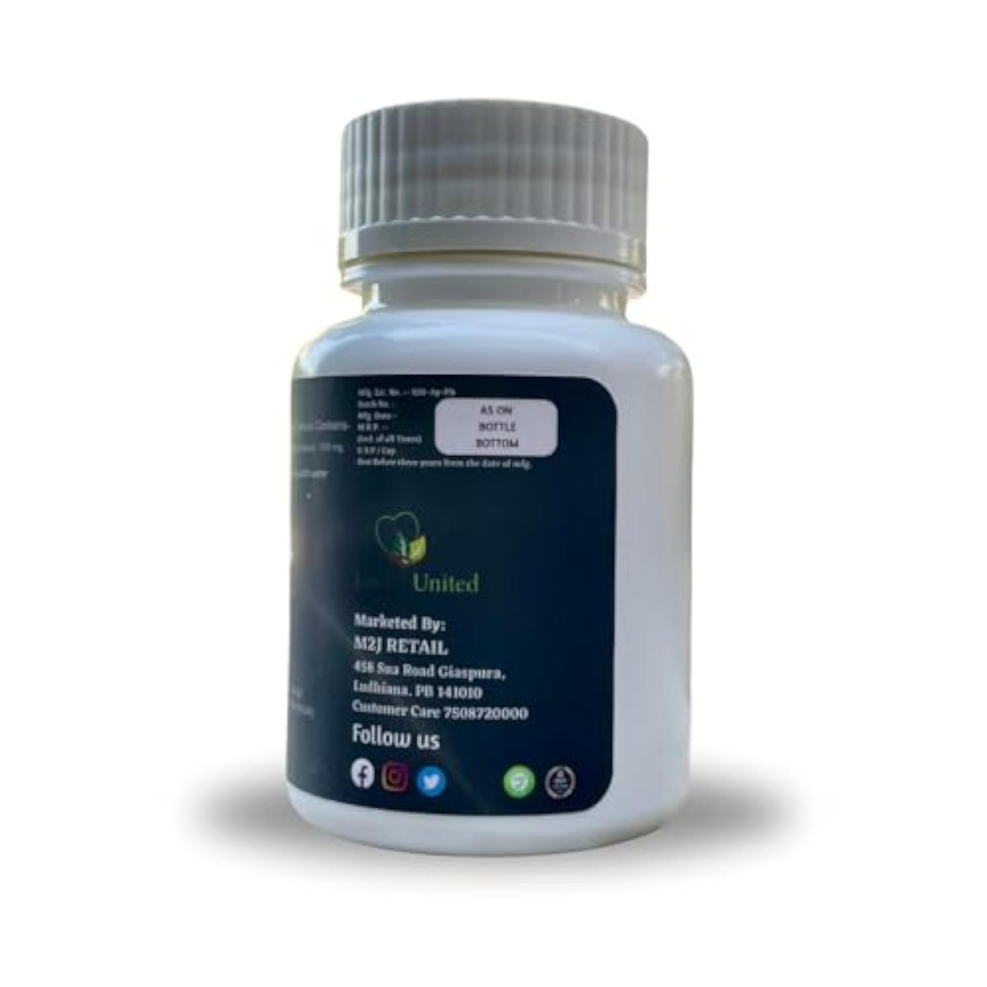 Ayurvedic Garlic Nutritional Supplement Capsules, 120 Caps