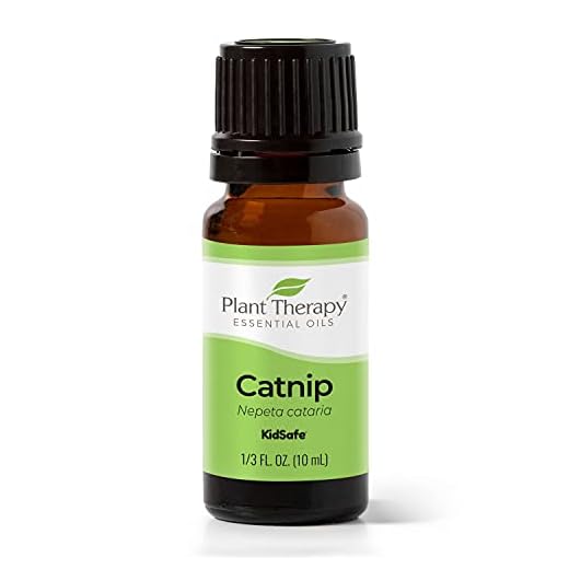 Plant Therapy Catnip Essential Oil 100% Pure, Undiluted, Natural Aromatherapy, Therapeutic Grade 10 mL (1/3 oz)