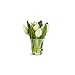 NAPA HOME&GARDEN,Dutch Tulip ARRGMT in VASE 7.5