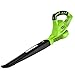 Greenworks 40V 150 MPH Variable Speed Leaf Cordless Blower, Battery and Charger Not Included 24282