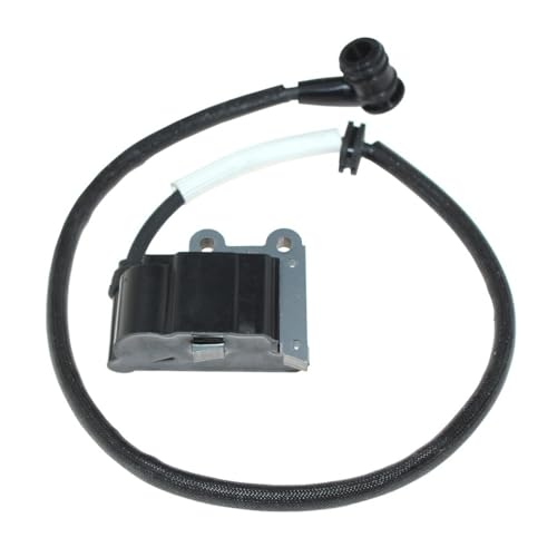 Bobine d'allumage 150BF 150BT 350BT pièce moteur 502846401