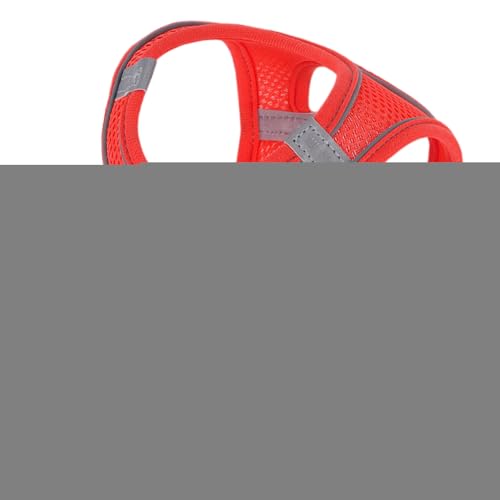 Lbgn[lX - ˋ@\t \tgbVxXgn[lX[h ߉\ - q ^ ybgp xXg  Sg[jO U s nCLO obNpbN AEghA `p