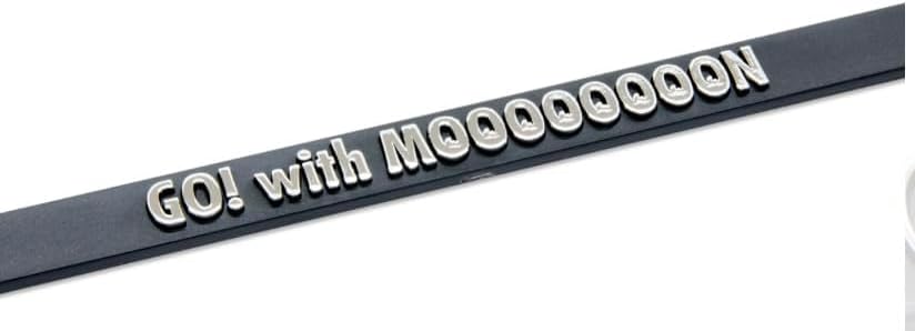 Raised MOONEYES ロゴ スリム ナンバープレート ライセンス フレーム ムーンアイズ MG063BKMO 【エアインテークチューブダクトカバーフェアリング】