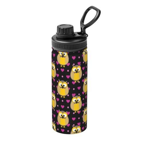 ixygoiv Cartoon Owl 18 OZ Sports Insulated Water Bottle Stainless Steel Drinking Cup Novelty Kettle for Camping Hiking Gym Travel -  SHUIHUTK62, SHUIHUTK-684752072