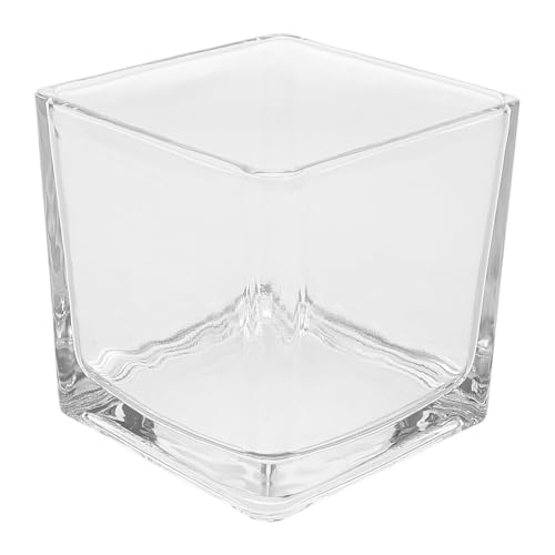 MOTHNUR Jarrón Hidropónico de Vidrio Transparente Cuadrado 8x8 Cm, Florero Moderno para Centros de Mesa y Decoración de Hogar, Diseño Grueso y Estable Adecuado para Bodas y Escritorio