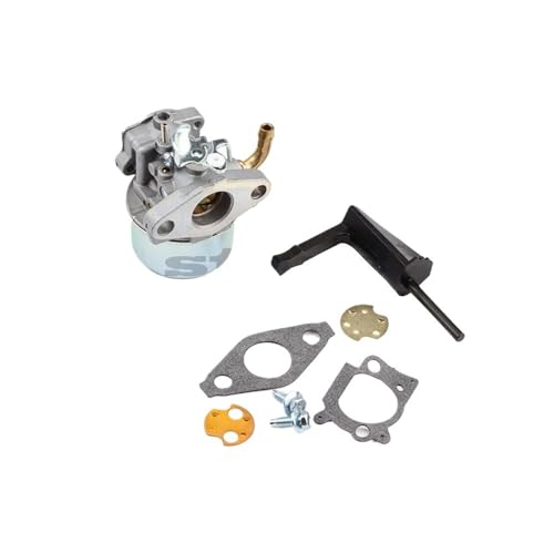 Carburateur étanche 798653 anti-corrosion pour moteurs souffleuses 698860