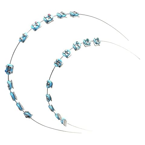 MIBICIRI 1 Pack Temporary Tooth Decoration with Metal Wires,Metal Bracket and Orthodontic Ligature Ties,Practice Props for Dental Students,Orthodontist Explain Props （Blue） Cover