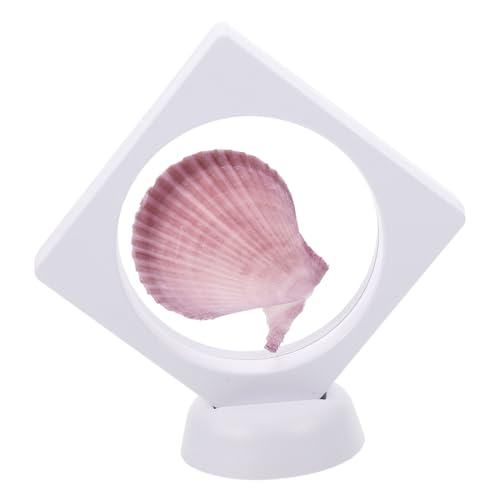BUGUUYO paisajismo de conchas y caracolas home decor decoração casa decoración de concha para mesa conchas para decorar decoracion escritorio decoración de caracola natural el plastico