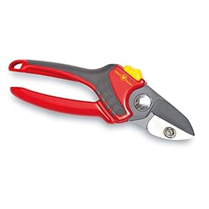 Wolf-Garten Rs2500 Snoeischaar Aambeeld Snoeischaar, Rood/Zwart, 29 x 3.8 x 2.8 cm