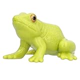 aqxreight Modelo de Rana Toro Mini Simulación Niños Cognitivos Criaturas de Rana Toro Modelo Decoración Juguete Regalo Texturas únicas su Colorido Altamente Resistente según y Diseñado sin Proporción
