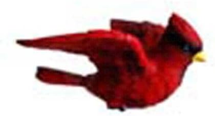 Clark Collection Cardinal Window Magnet,Red