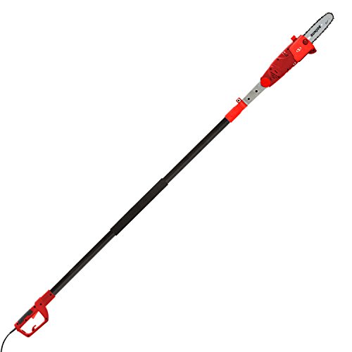 Pole Saw Reviews » Blog Archive » Review TroyBilt TB516 EC 9Inch 29cc