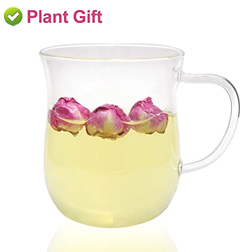 Flores secas naturales de Peonía Paeonia lactiflora 50g miniatura 7