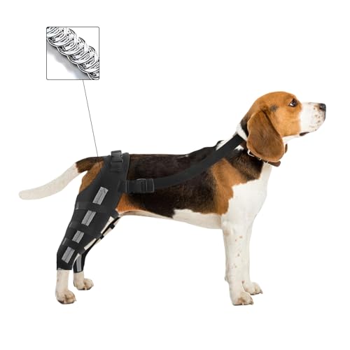 Image of Double Dog Knee Brace for Torn Acl Hind Leg, Double Dog Leg Sleeve, Acl Brace for Dogs Rear Leg for Support, Built-In Hard Metal Spring Support, Outer Night Reflective Strip, Adjustable Strap (Medium)