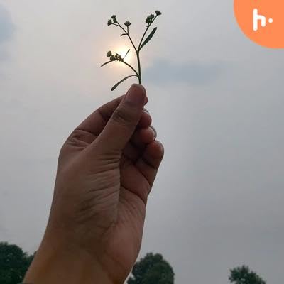 Episode 2 - Small steps