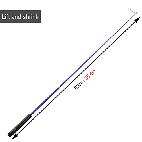 Lint Pauw Patroon Drakendans Lint, Lint Werp Streamer met Staaf & Tas, Fitness Drakendanslint voor Buitenfeesten Op Het… - Image 7