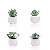 Material de mini suculentas falsas: cada adorable mini suculenta está hecha de plástico de calidad, la maceta está hecha de cerámica. Las mini plantas suculentas blancas son un toque real, no dañan el olor, no se desvanecen. Puedes usar esta pequeña suculenta año tras año, se mantendrán frescas todo el tiempo.