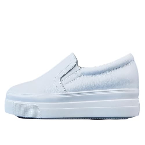 [uEP] Xb| fB[X  22.0cm TChSA Xb| Xj[J[   zCg? EFbW\[ ₷ ₷ r Vv  Ȃ ɂ V[Y TCY 傫TCY t H~