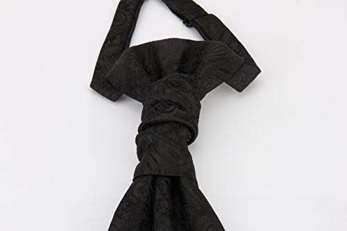 Hello Tie Pre-Tied Microfiber Ascot Ruche Paisley Cravats Tie For Men (Black) #TOP2