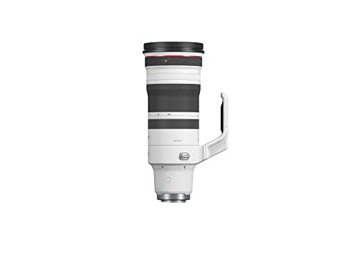 Canon RF 100-300mm f/2.8L IS USM