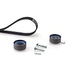 Fácil de usar GAT K015595XS kit de correa dentada PowerGrip