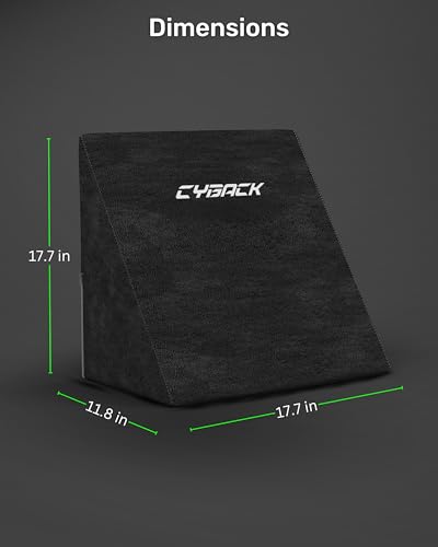 Image of Couchmaster CYBACK, Ergonomic Gaming Lumbar Pillow with Memory Foam, Back Cushion for Optimal Comfort in Couch & Bed