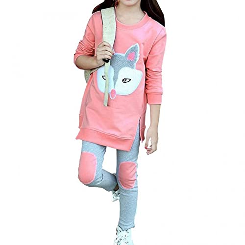 Boys Girls Fall Winter Fox Clothes Outfits 5-10 Years Old Kids Chlid Long-Sleeved Sweatershirt Tops Pants Sets3
