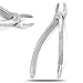 PC EXTRACTING Forceps #39R English Pattern Dental Instruments