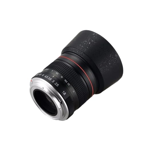 Con la sua apertura massima di F1.8, questo obiettivo offre una separazione omogenea dello sfondo e prestazioni affidabili in diverse condizioni di illuminazione. L'ampia apertura aiuta a creare piacevoli aree fuori fuoco che mettono in risalto il soggetto principale, offrendo al contempo flessibilità for la fotografia in luce ambiente.
