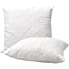 Highliving Kopfkissen 1er Set Kissen, Schlafkissen, anpassbare Füllung für EIN Kopfkissen 100% Mikrofaser mit Reißverschluss (40 x 40 cm, 1)