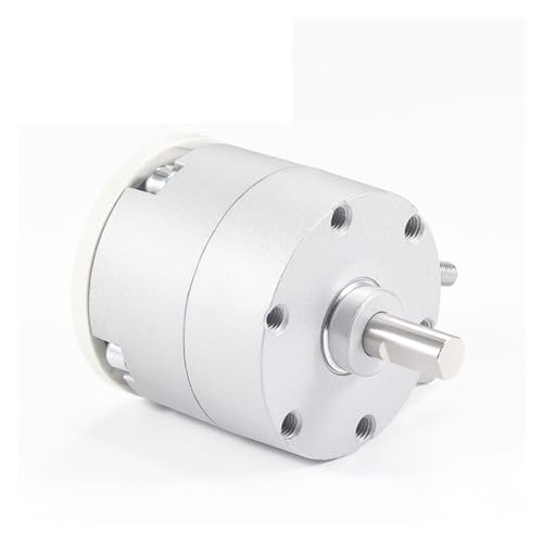 Vérin pivotant robuste CDRBS40 pour automatisme durable - 2