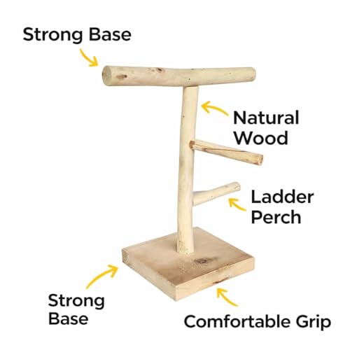 Image of Bird Stand for Parrot, Cockatiel & Lovebirds | Wooden Bird Play Gym with Ladder & Perch | Bird Activity Stand for Cage & Outside | Natural Chew & Exercise Stand for Small Birds