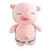 LIUCHANG Plüschspielwaren Rosa Schwein Niedlichen Stofftier Plüsch Spielzeug - Entzückendes weiches Schwein Spielzeug und Geschenke for Kinder Babys (Farbe: Rosa Größe: 50 cm) liujiapeng55