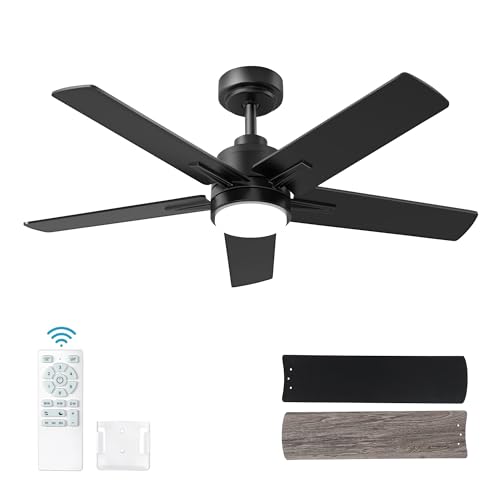 EasyNice 42 Inch Black Ceiling Fan with Light and Remote Control